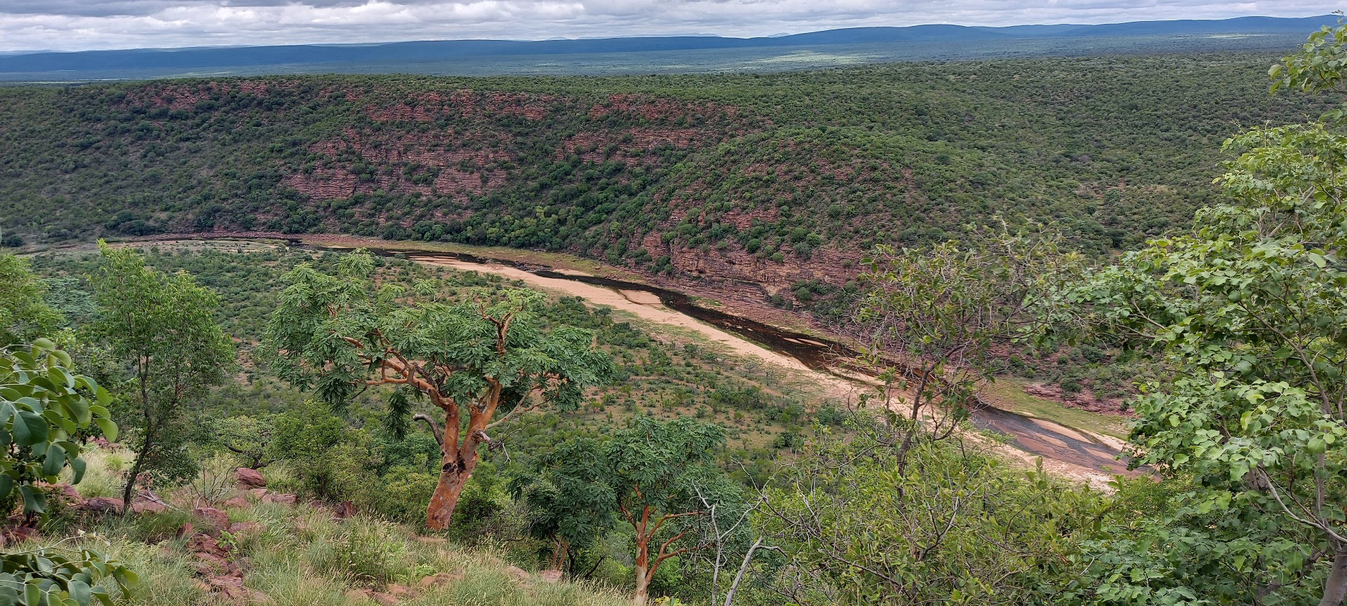 Waterberg Wilderness Reserve Kwalata Safaris African Hunting Safaris